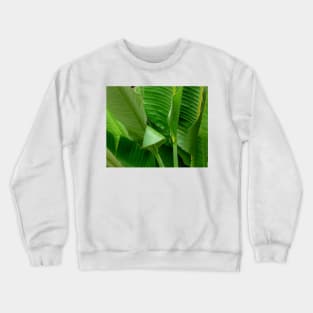 Banana Leaves Crewneck Sweatshirt